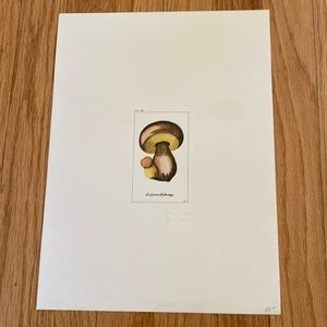 Vintage Mushroom Litho